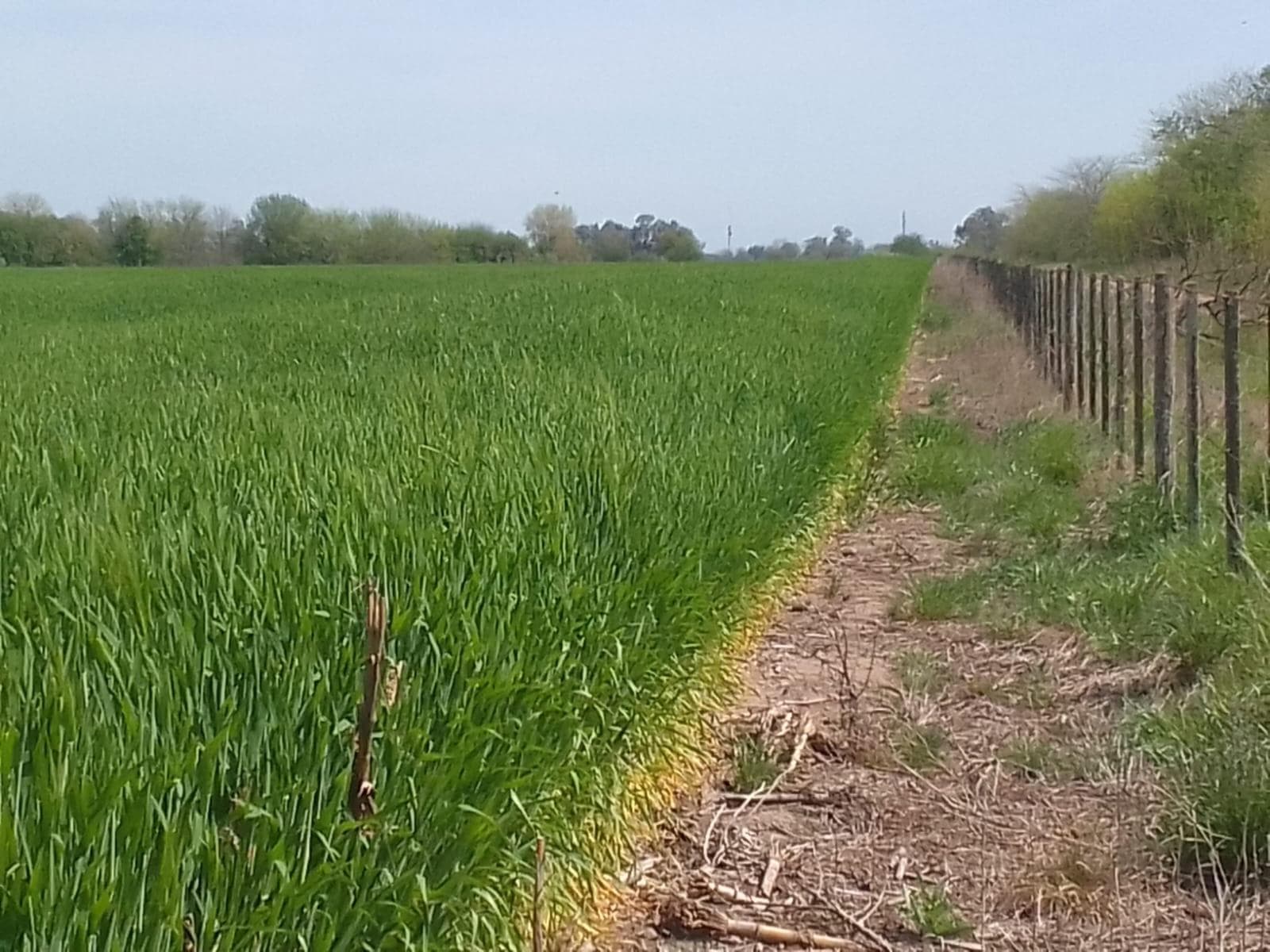 Campo en venta - 260.328Mts2 - Lobos - 1