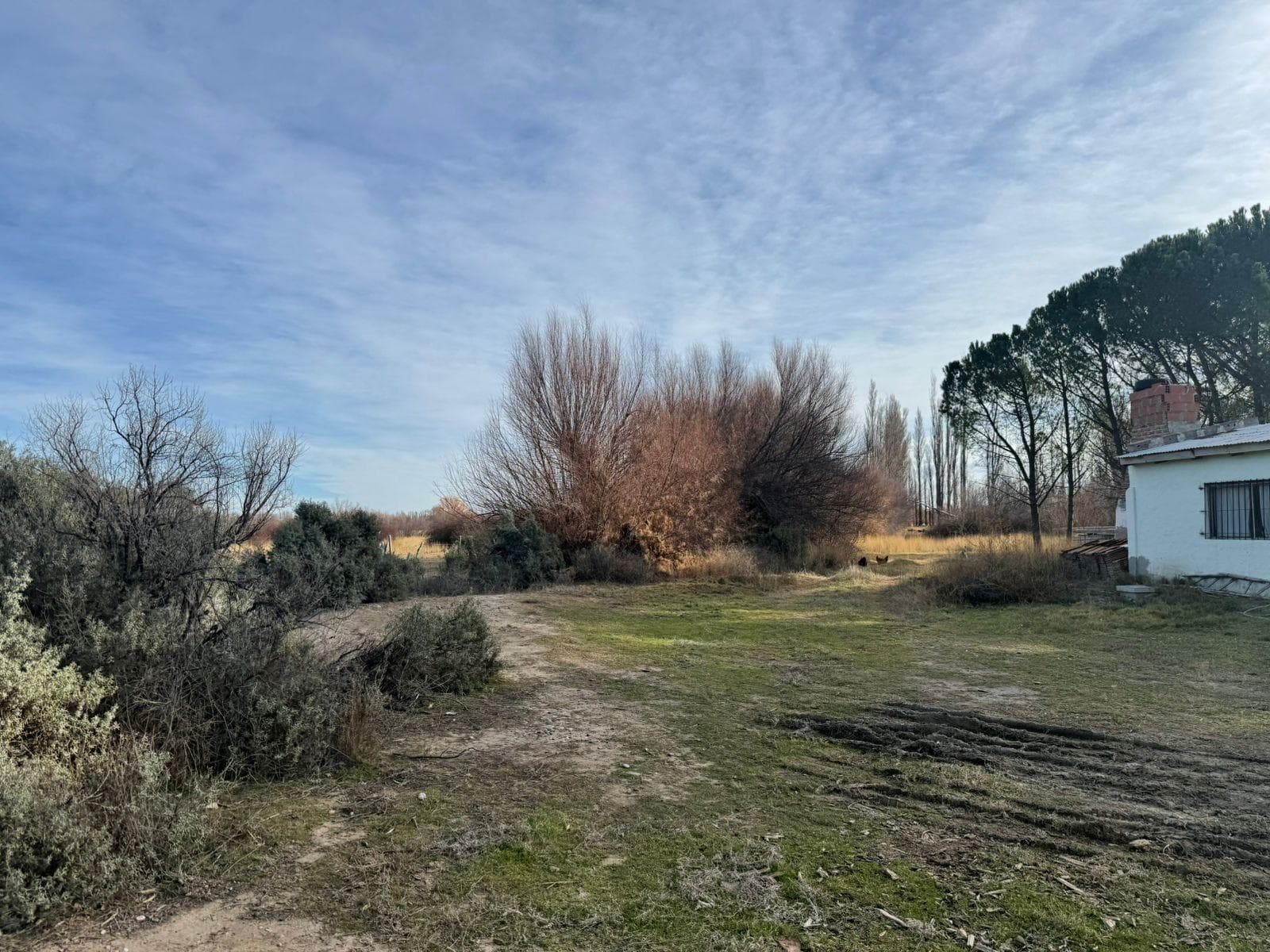 Chacra en Rawson - 2