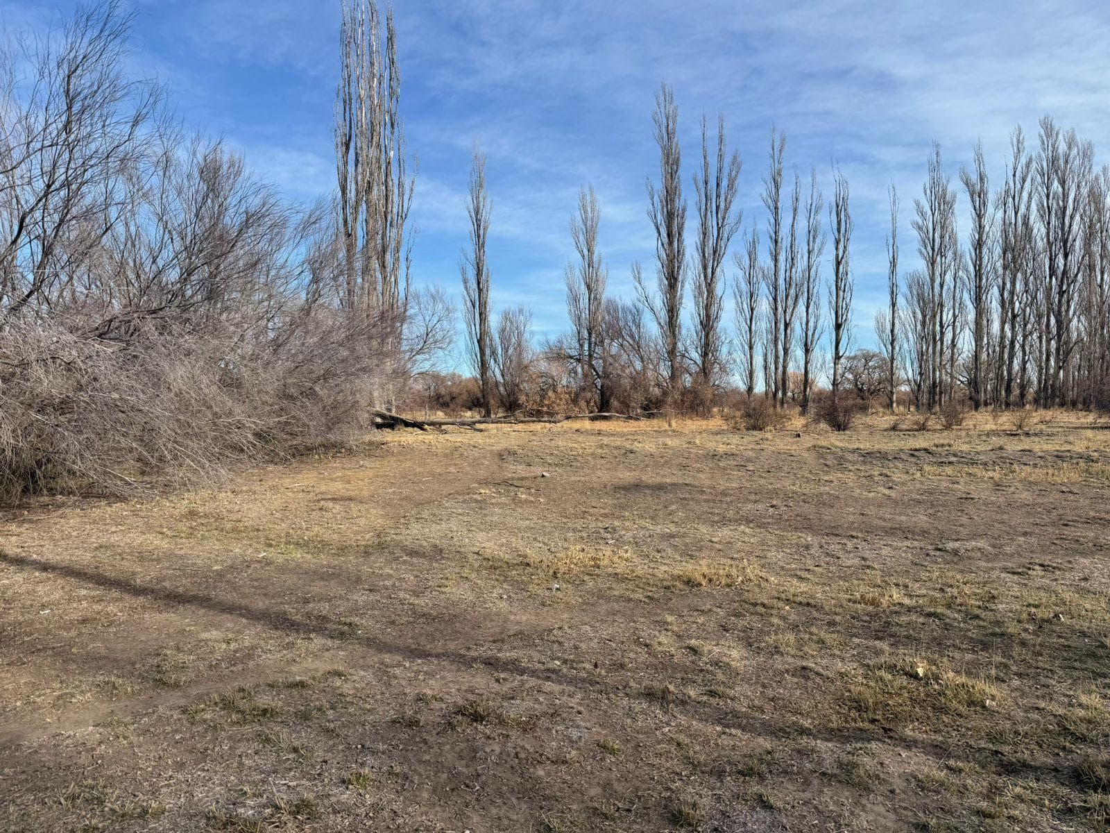 Chacra en Rawson - 1