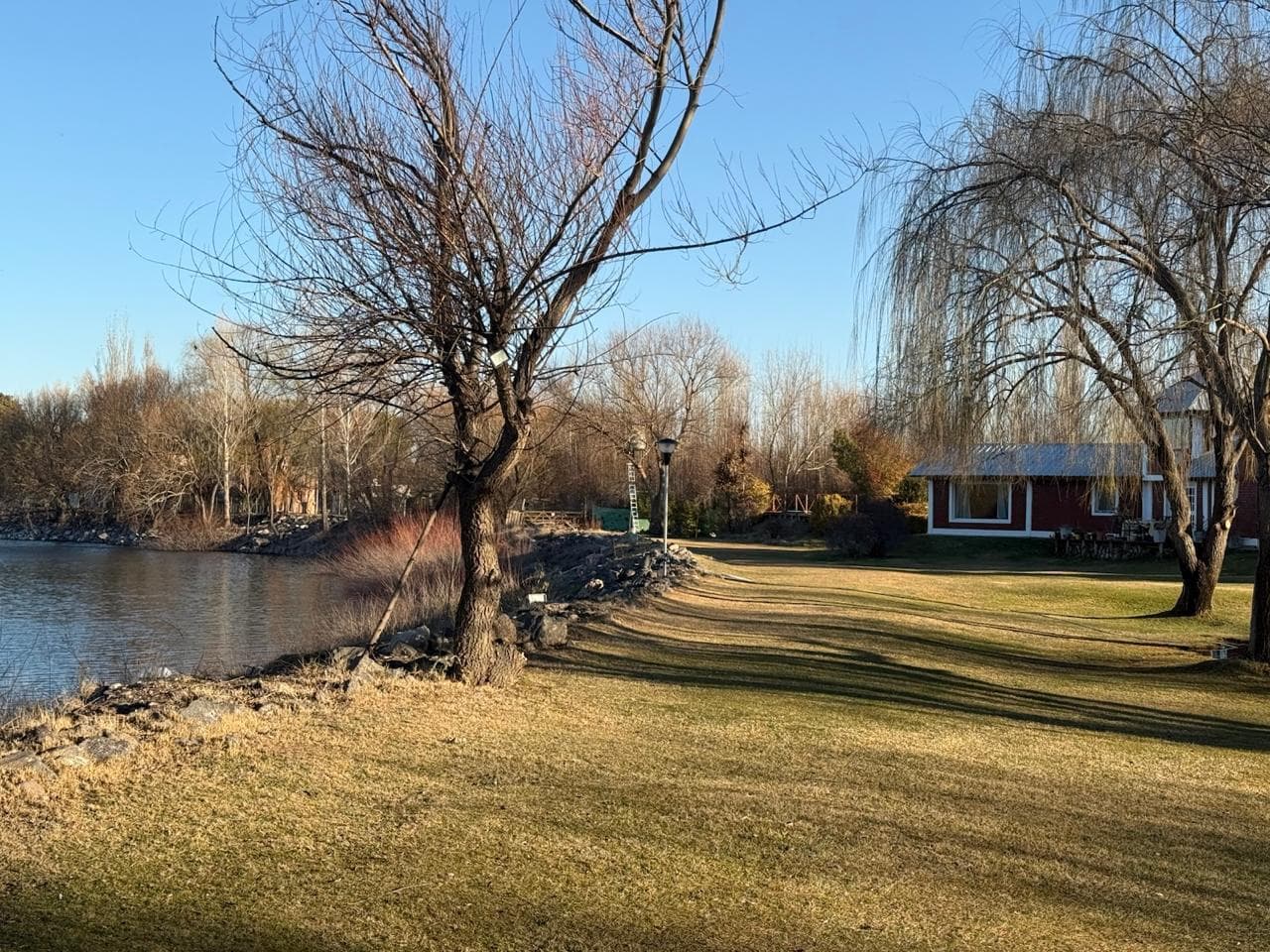 Chacra a 10 minutos del centro de Centenario - 1