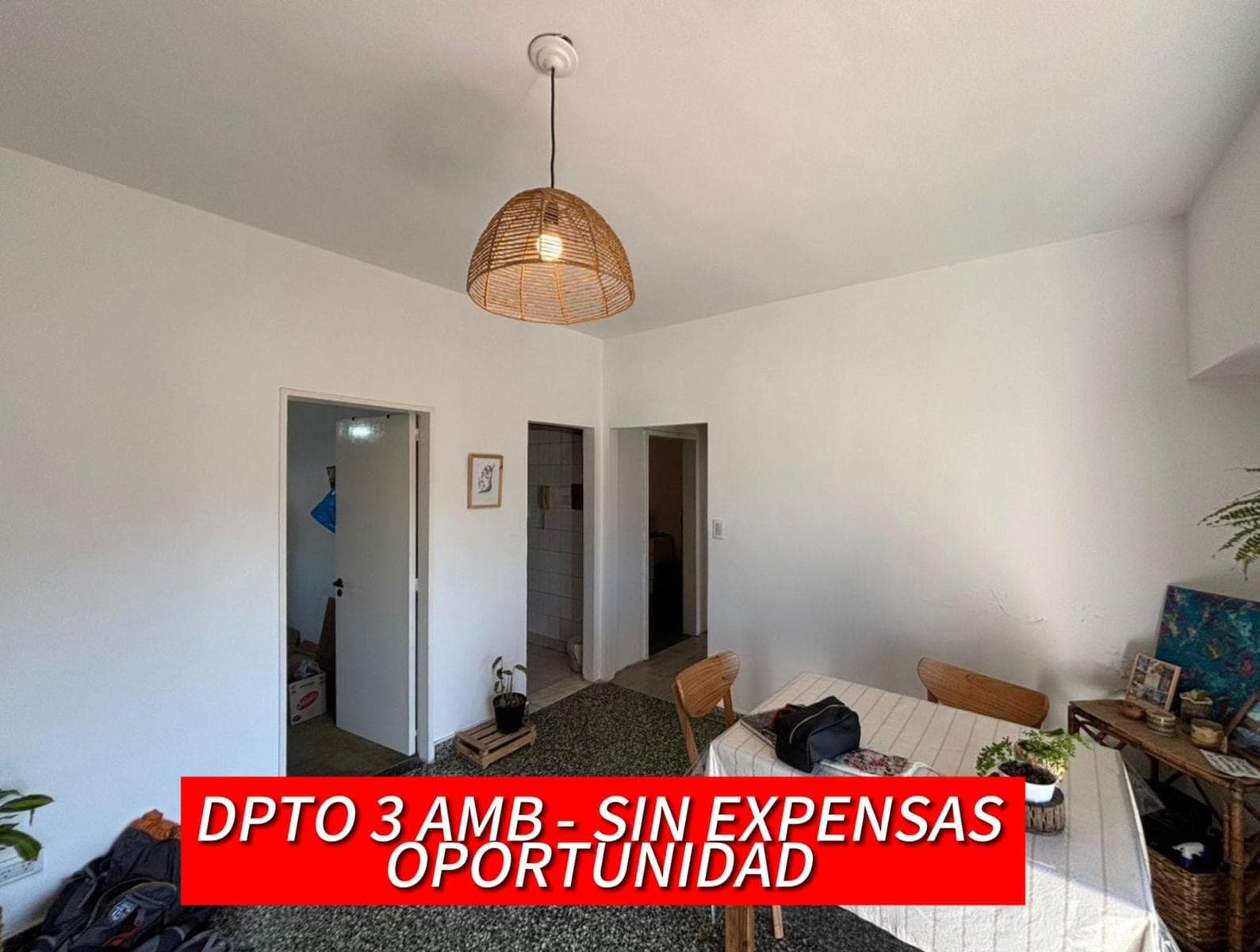 DEPTO 3 AMBIENTES V- MUY LUMINOSO - SIN EXPENSAS - 1