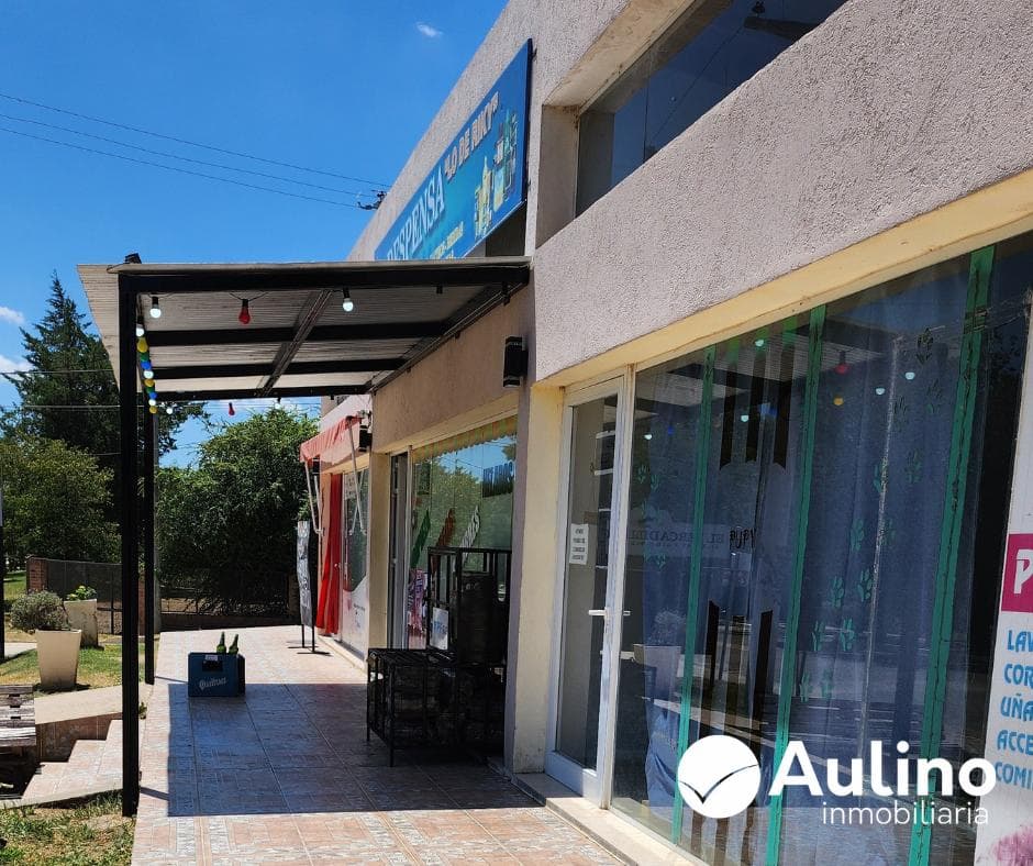 Venta de Locales Comerciales y Casa en Carpintería - 1