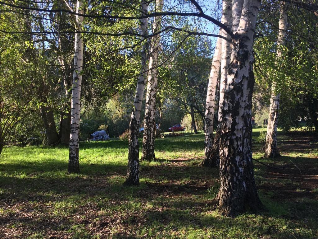 En venta, Chacra Los Maitenes, El Bolsón, Rio Negro - 1