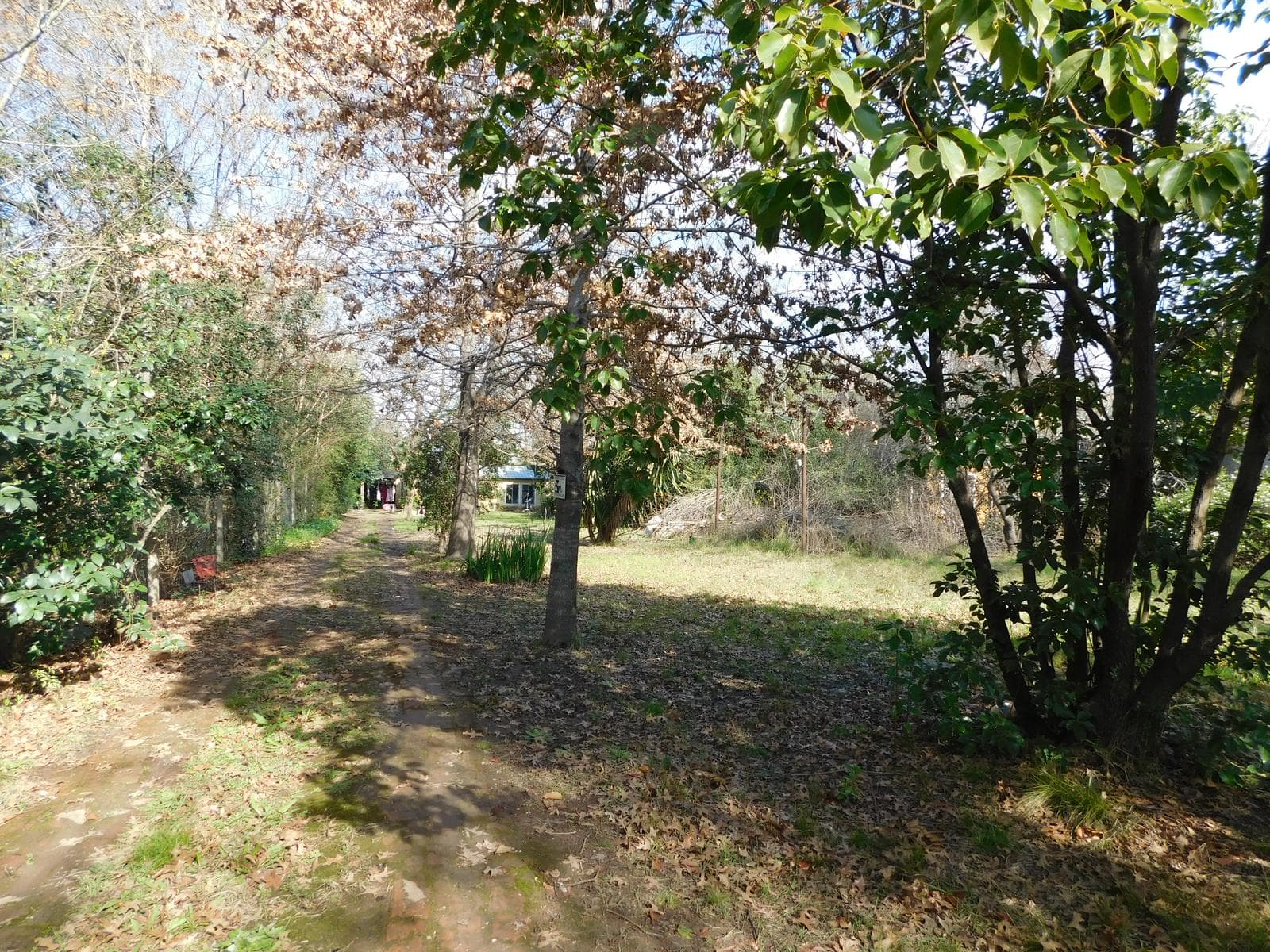 Quinta en Venta en Benavidez - 1