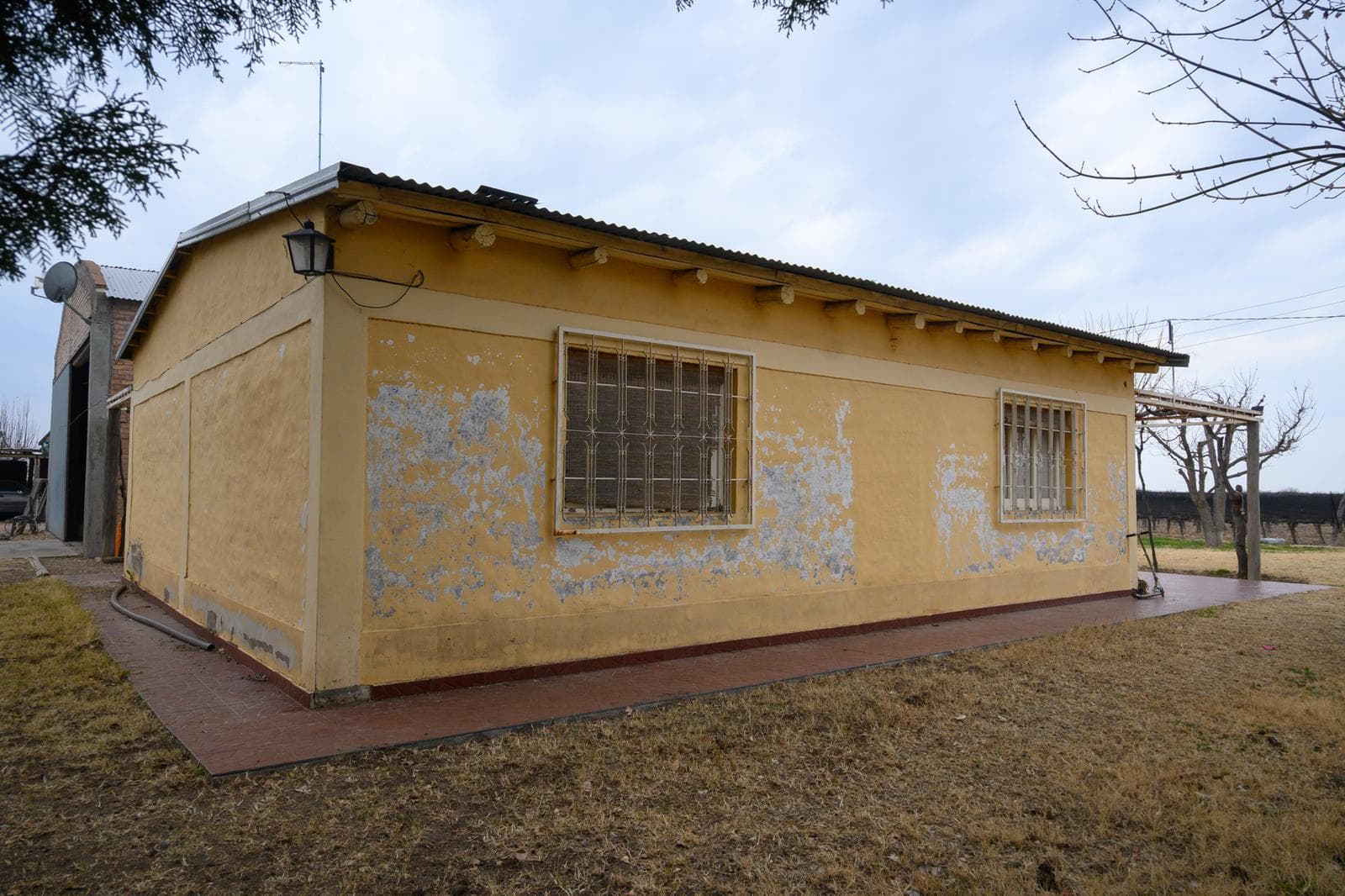 Finca en Venta sobre Ruta 143 – San Rafael, Mendoza - 2