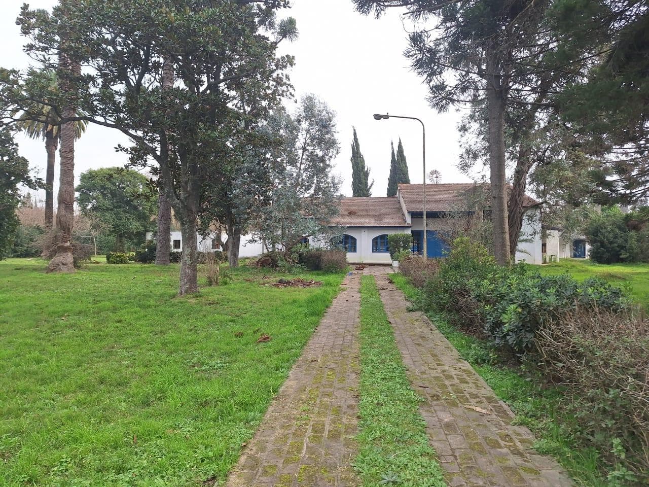 Alquiler Casa en San Vicente destino Comercial - 2