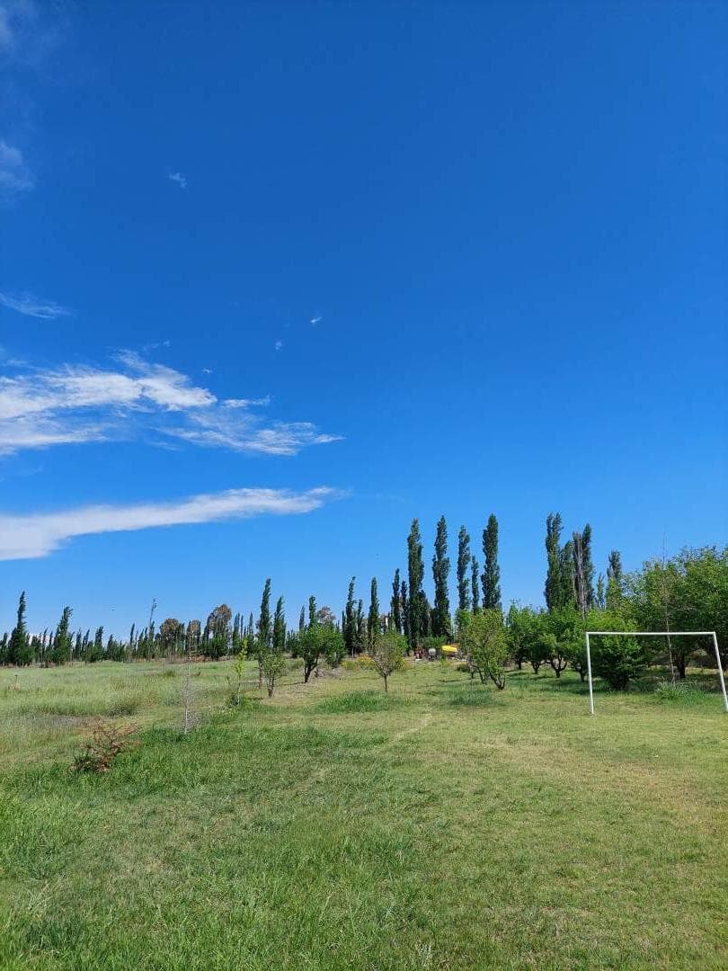 Finca Produccion Ganadera RP 202 - 1