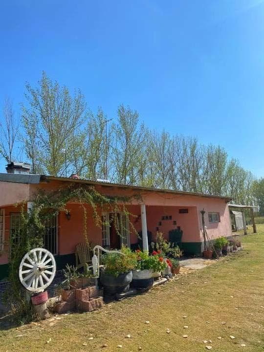 Finca 4has con Casa en Carmensa - 1