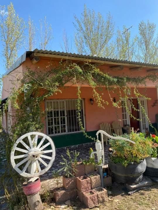 Finca 4has con Casa en Carmensa - 2