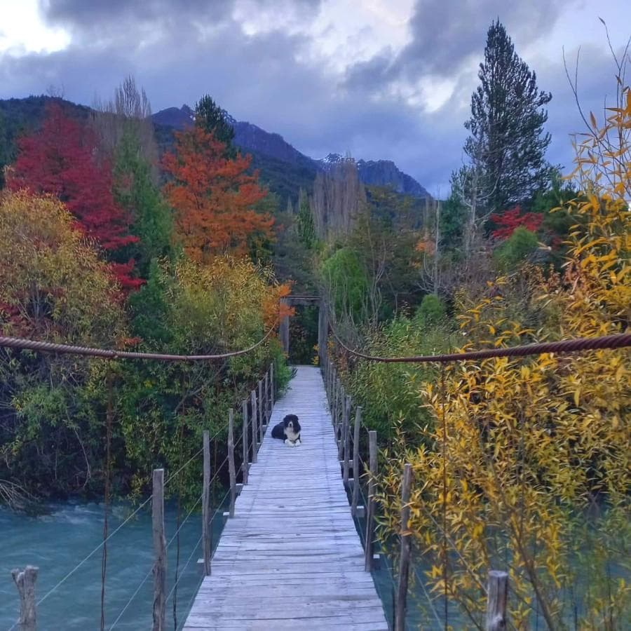 Terreno en Epuyen - 1