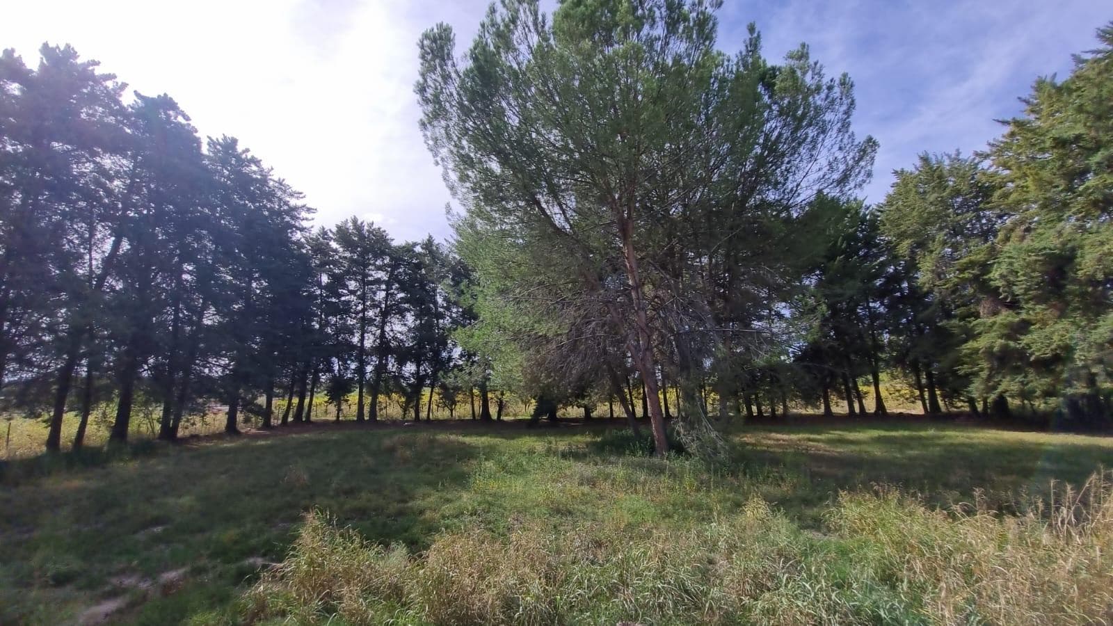 Finca en Andrade - 1