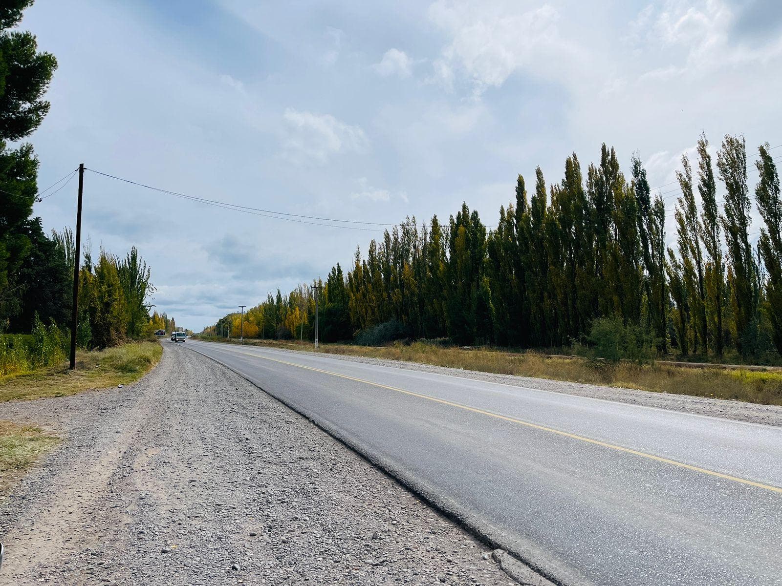 Chacra De 5 Hectareas Con Frente A Ruta 151 Zona 4 Esquinas Cipolletti Rio Negro - 1
