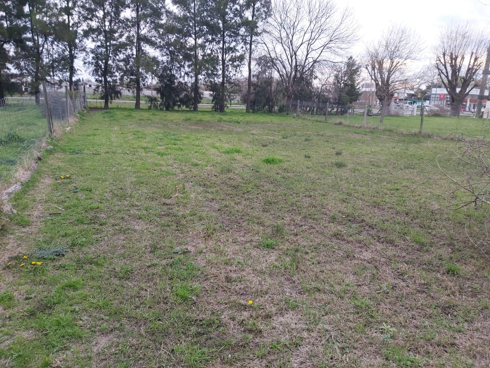 Terreno en alquiler en Abasto, La Plata, calle 520 y 203 - 2