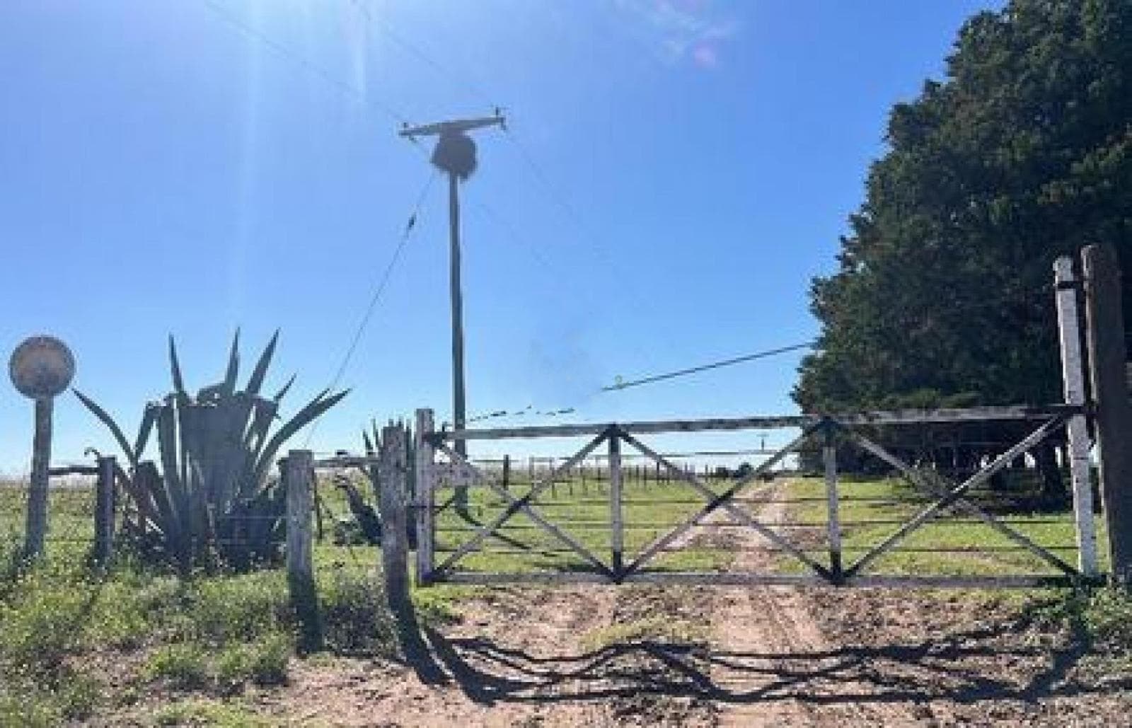 Campo en venta - 521 Hectáreas - La Pampa - 1