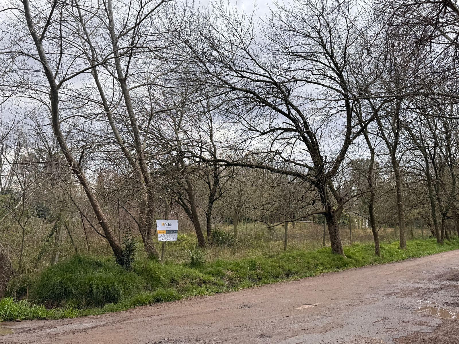 Venta de lote 58x32 Barrio Copenhague, Guernica - 1