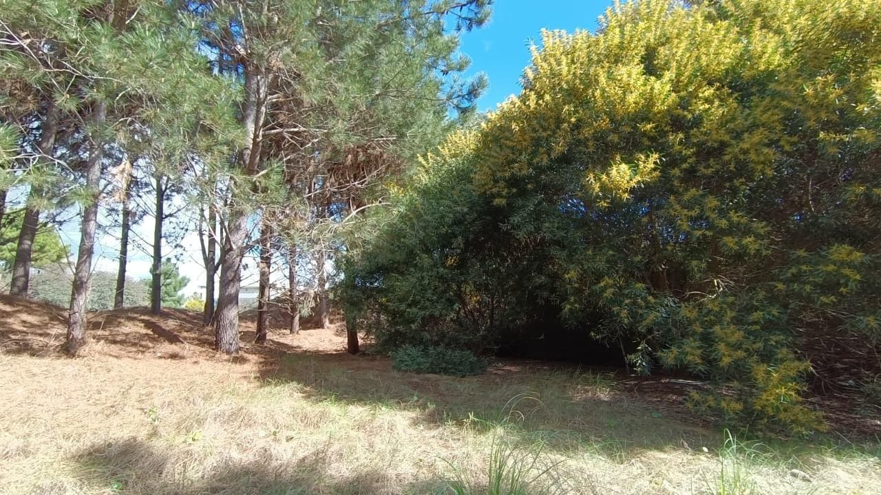 Lote en venta en Marítimo 3 de Costa Esmeralda con proyecto aprobado - 1