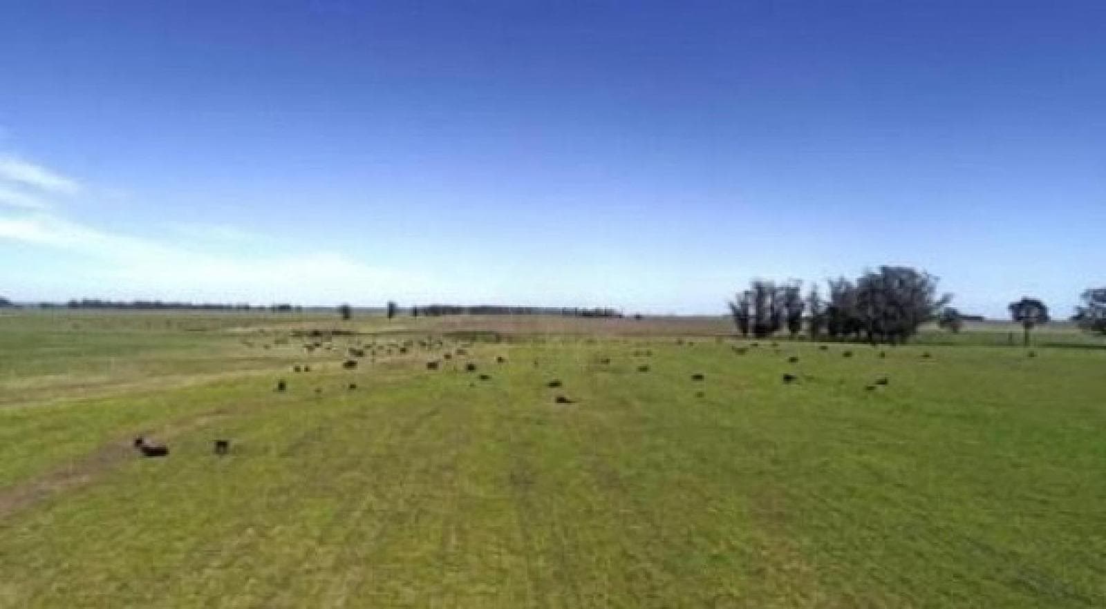 Campo en venta - 4.150.000Mts2 - Mar Chiquita - 1