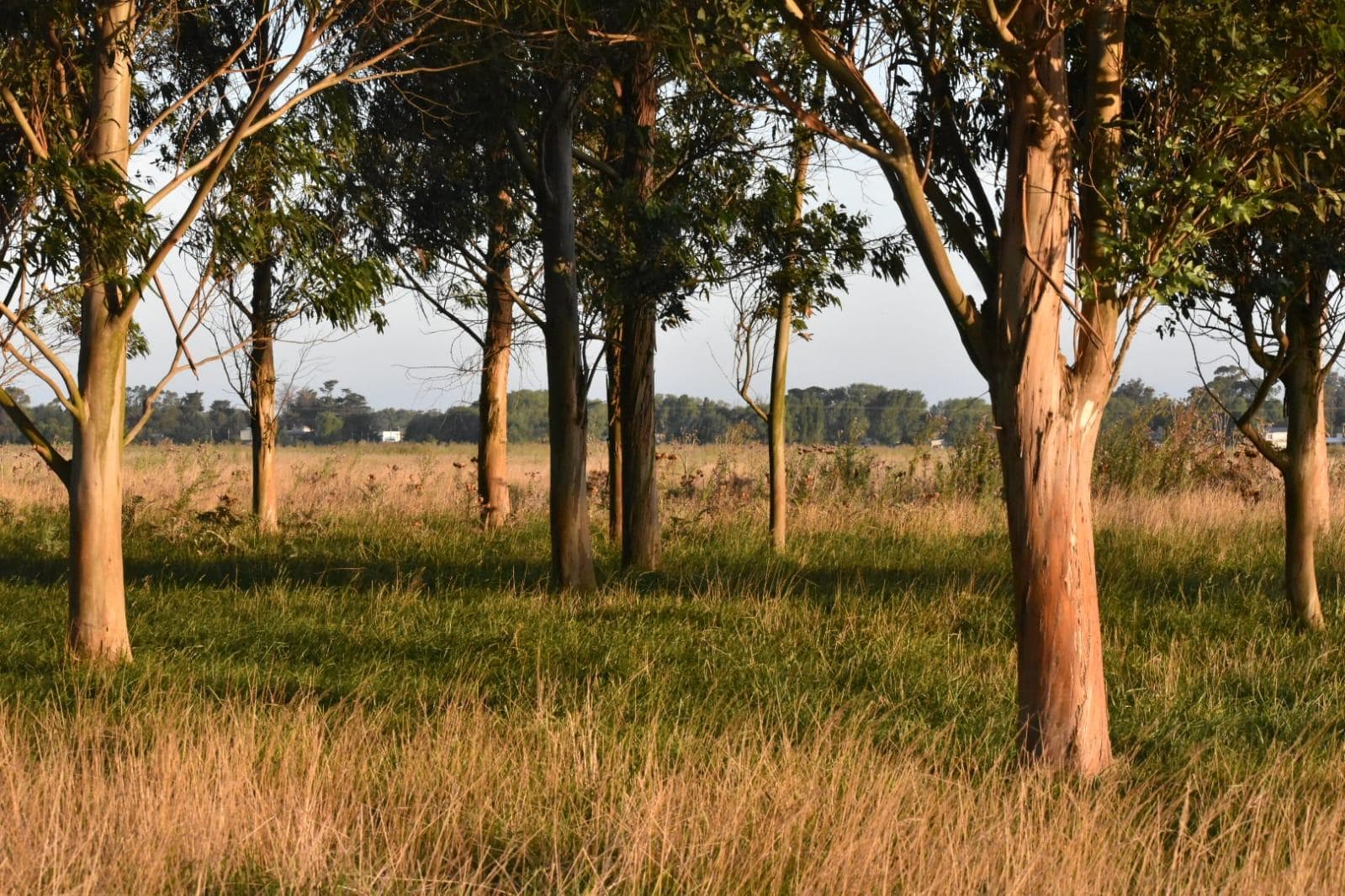 Terreno en Mar Chiquita - 1