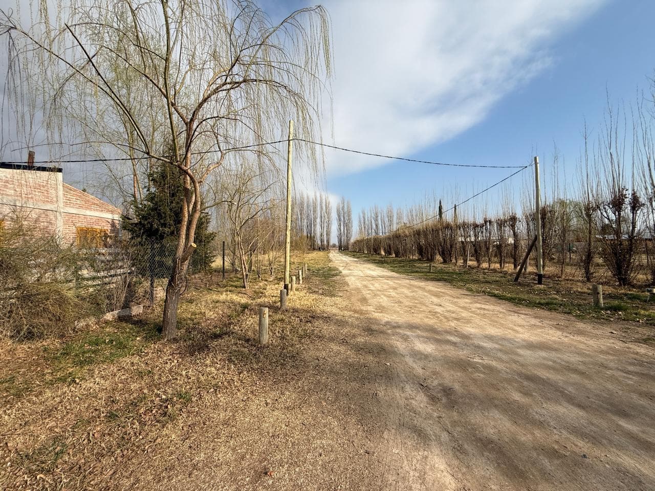 Quinta en General Roca - 2