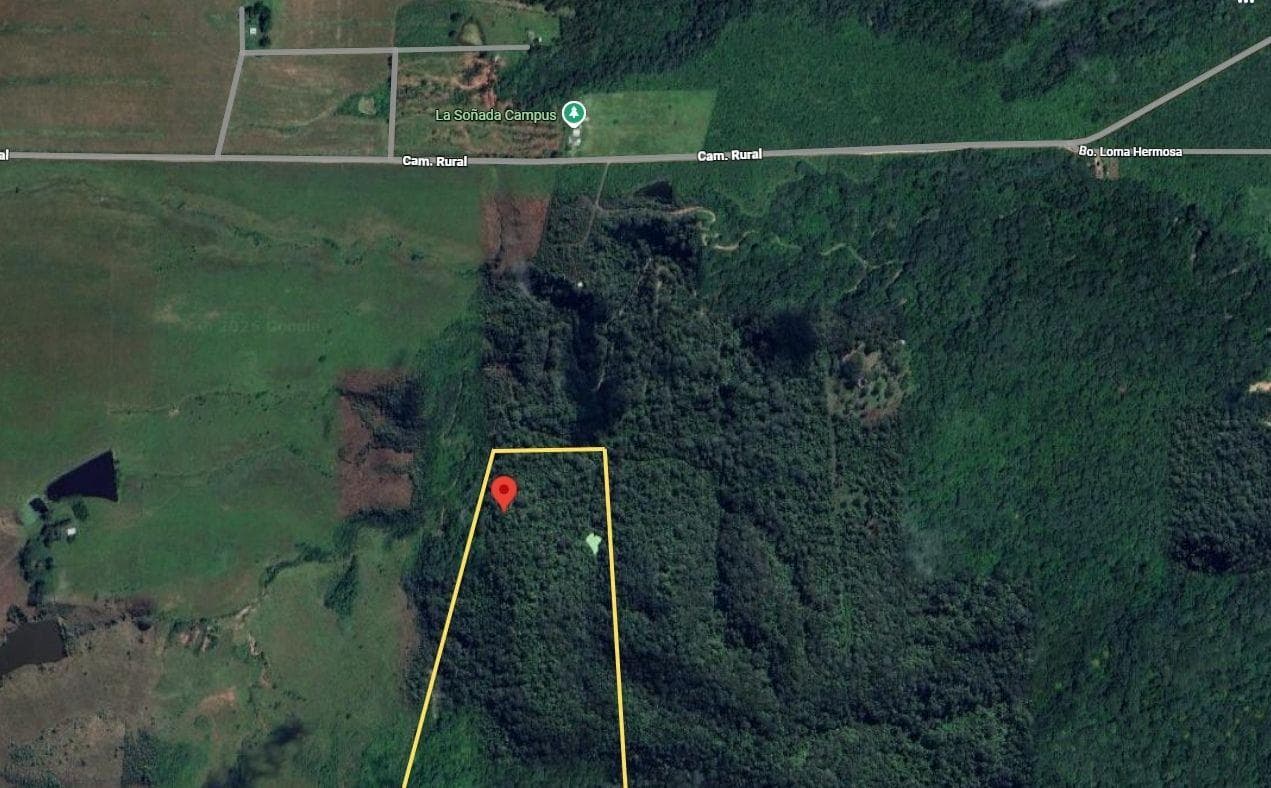 VENTA HECTAREAS EN EL CEIBAL - 1