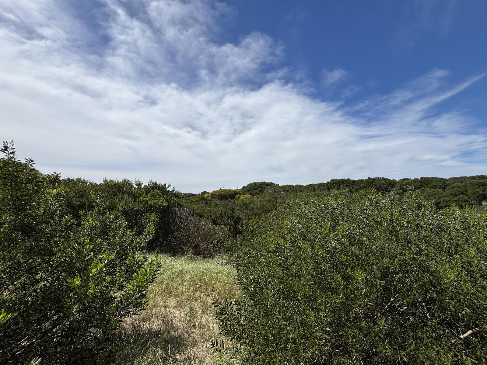 Lote en Venta en Colonia Marina - 1