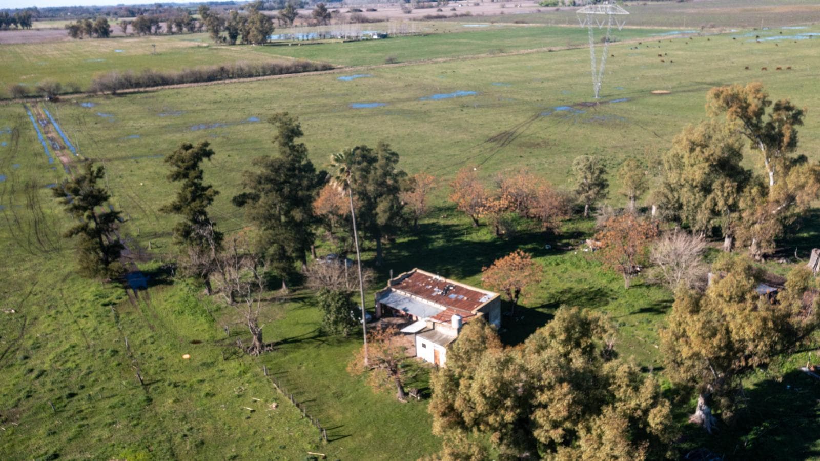 Chacra de 23 has en Las Chacras, Lobos - 1