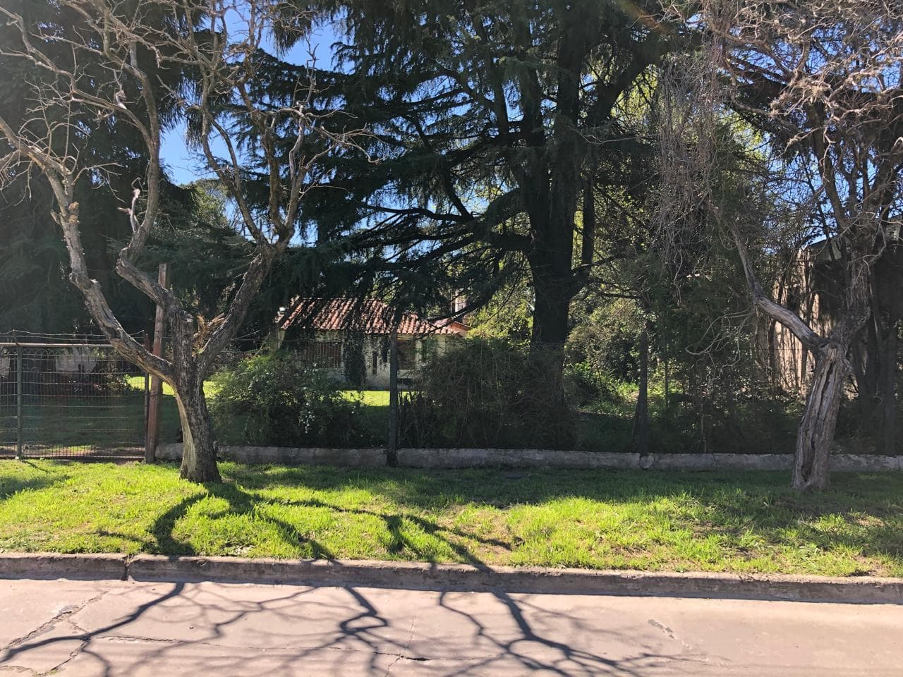 Quinta sobre 3 lotes de terreno con chalet y pileta grande - 2