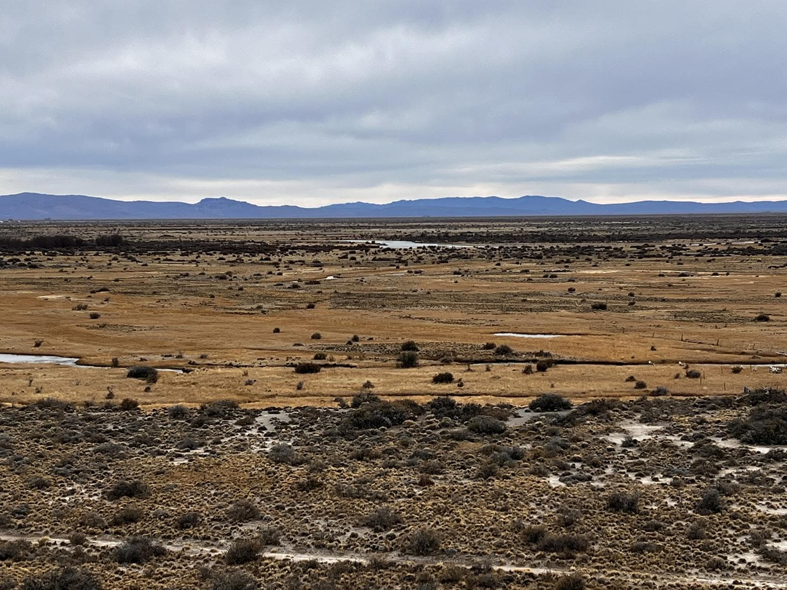 Campo en Alto Rio Senguer - 1