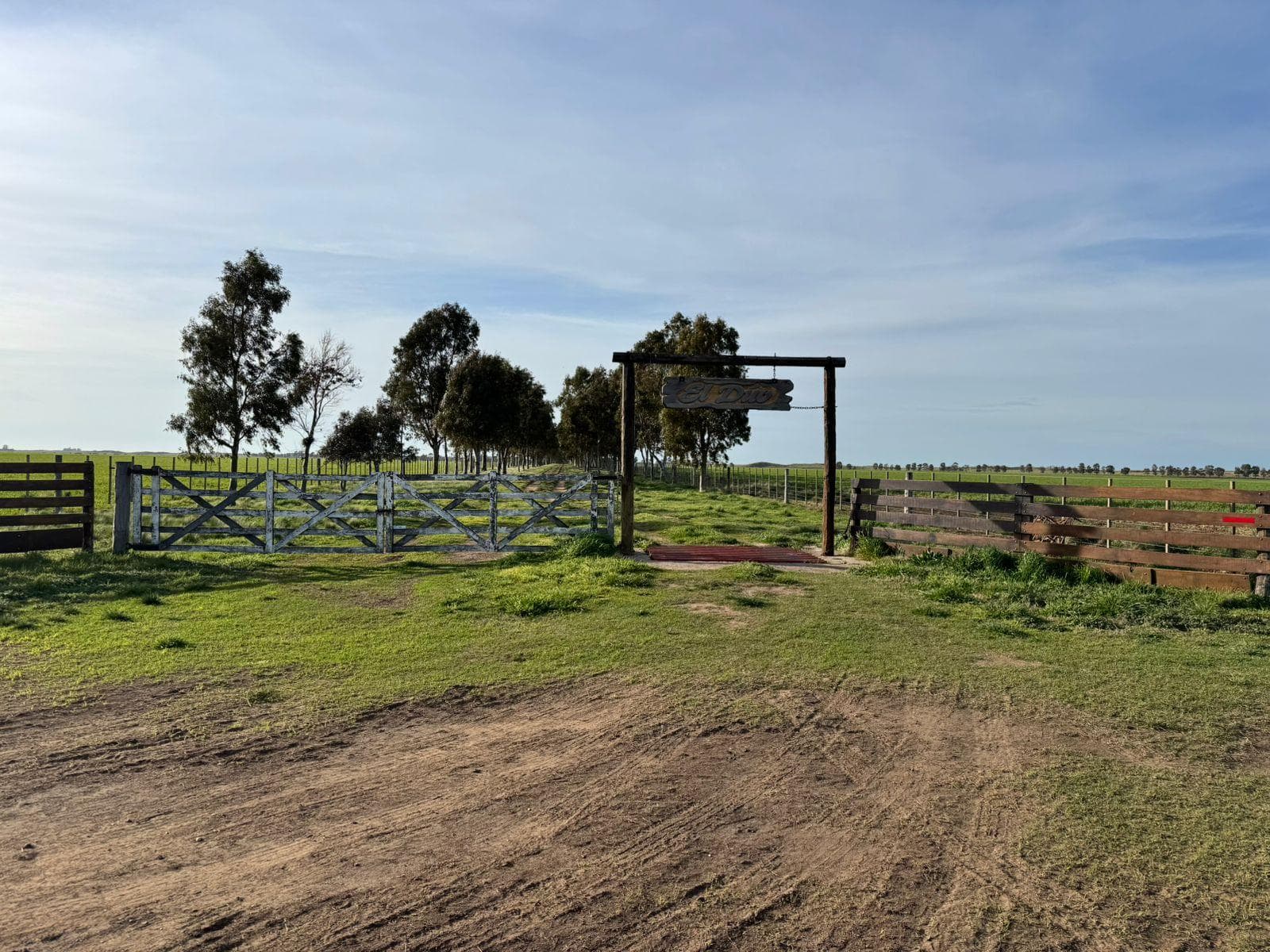 CAMPO MIXTO EN VENTA DE 830 HAS - CORONEL DORREGO - 1