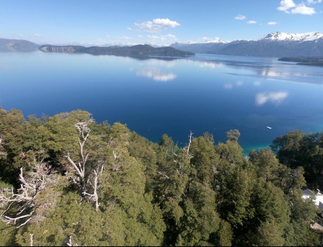 ATENTOS DESARROLLADORES!!! - 1