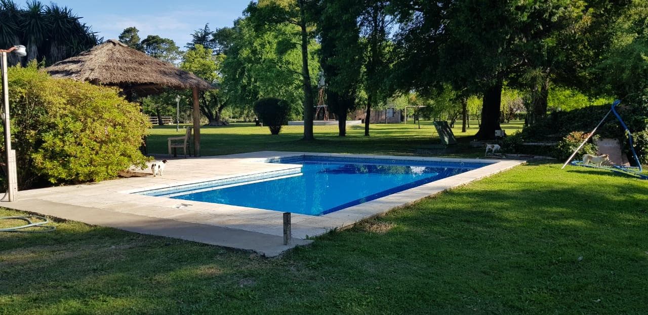 Venta Casa Chacra Lote de 1.9 Ha en Zelaya Pilar - 1