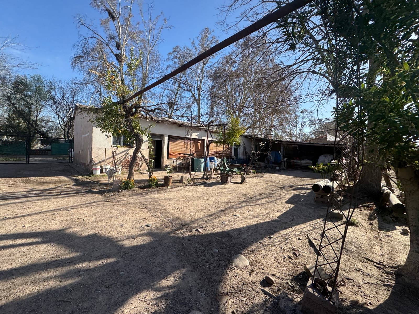 Finca - Perdriel - 2