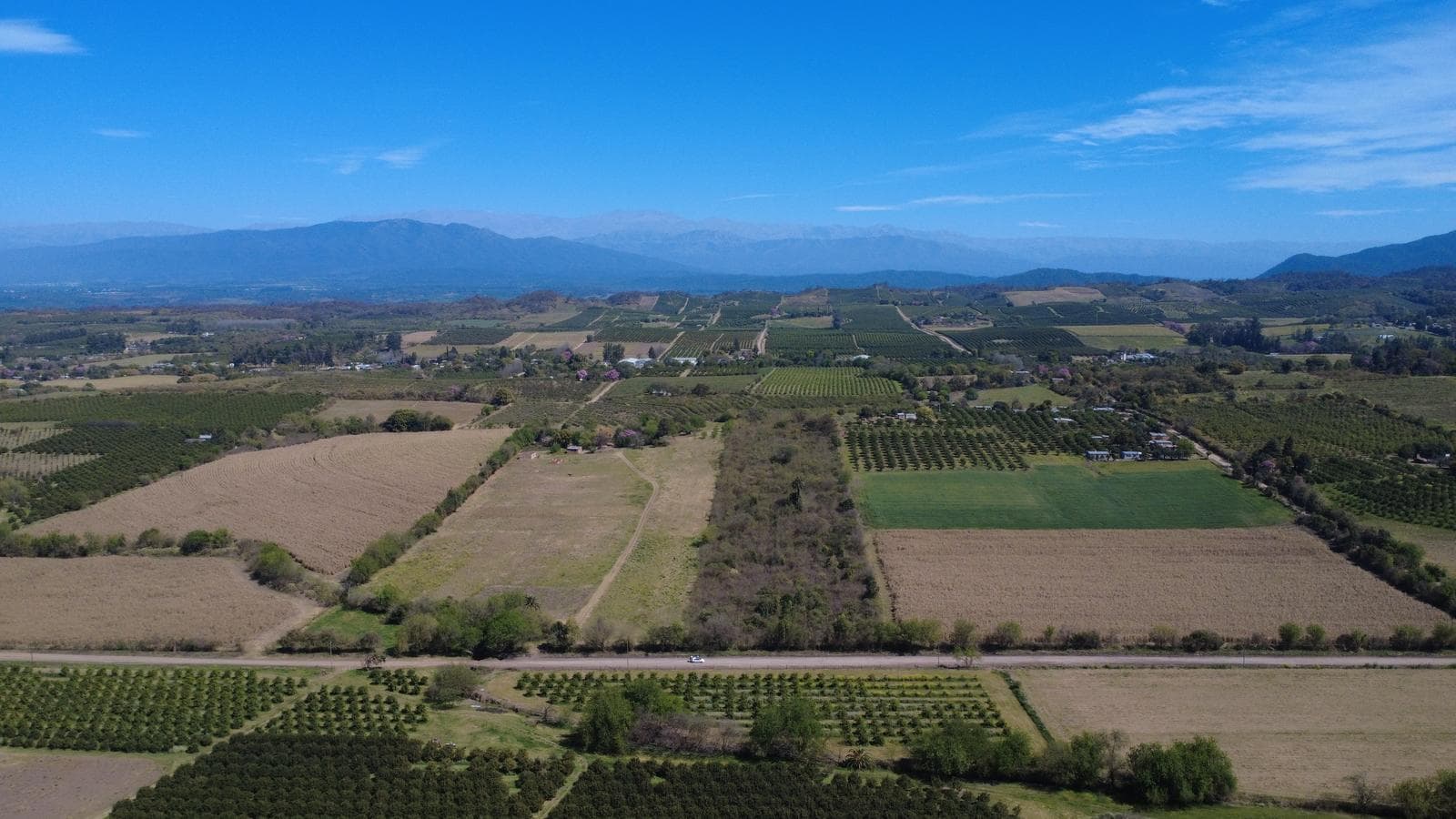 CAMPO EN VENTA - TIMBO VIEJO - 1