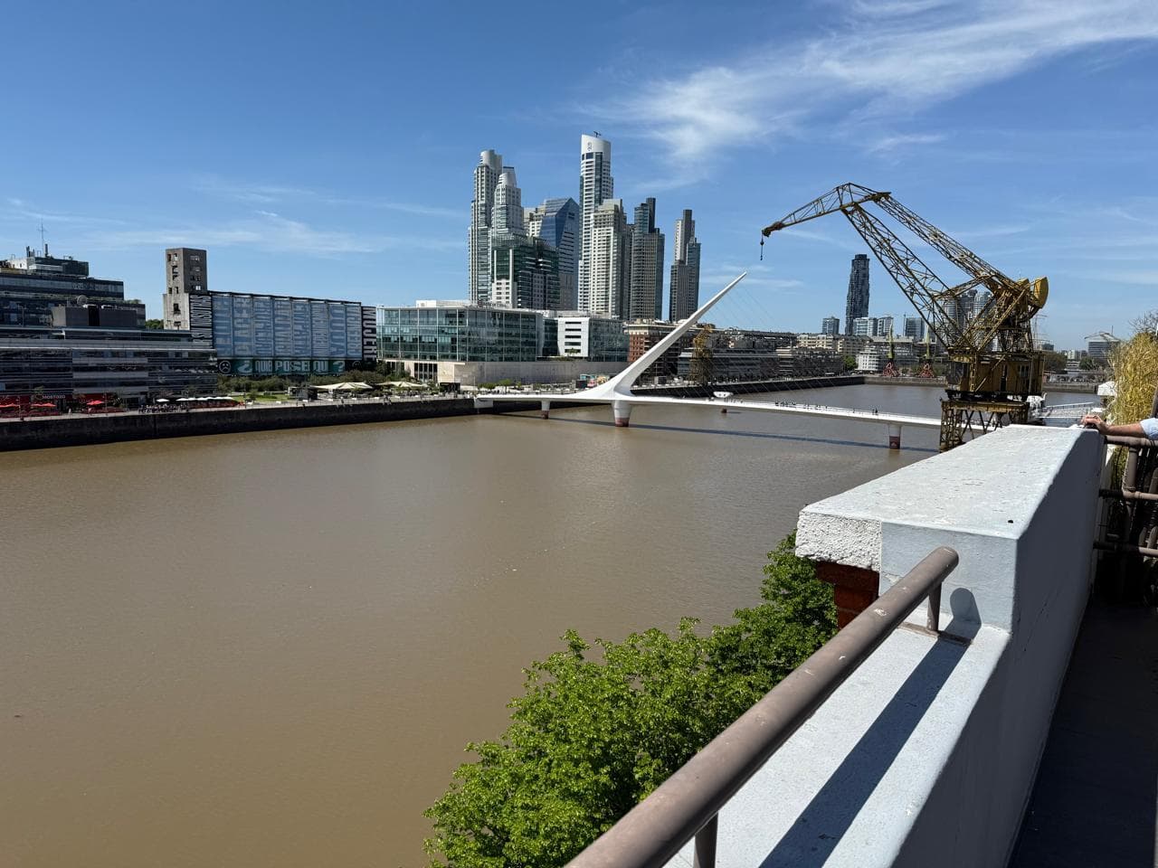 OFICINAS - PLANTA DIVIDIDA - PUERTO MADERO, CAPITAL FEDERAL - 1