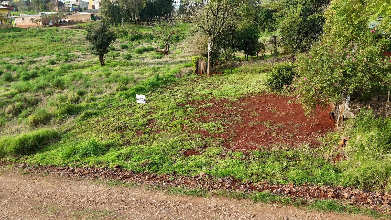 Terreno en Angélica Schnarbart; San Vicente; Misiones. - 1