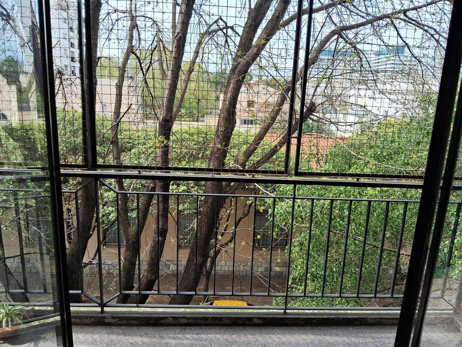 Departamento de 3 dormitorios en Colegiales - 1