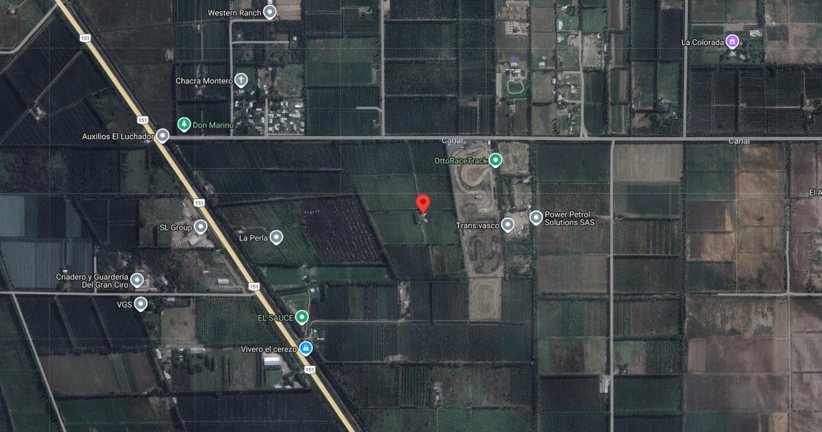 Chacra de 13 hectáreas en producción, Cipolletti - 1