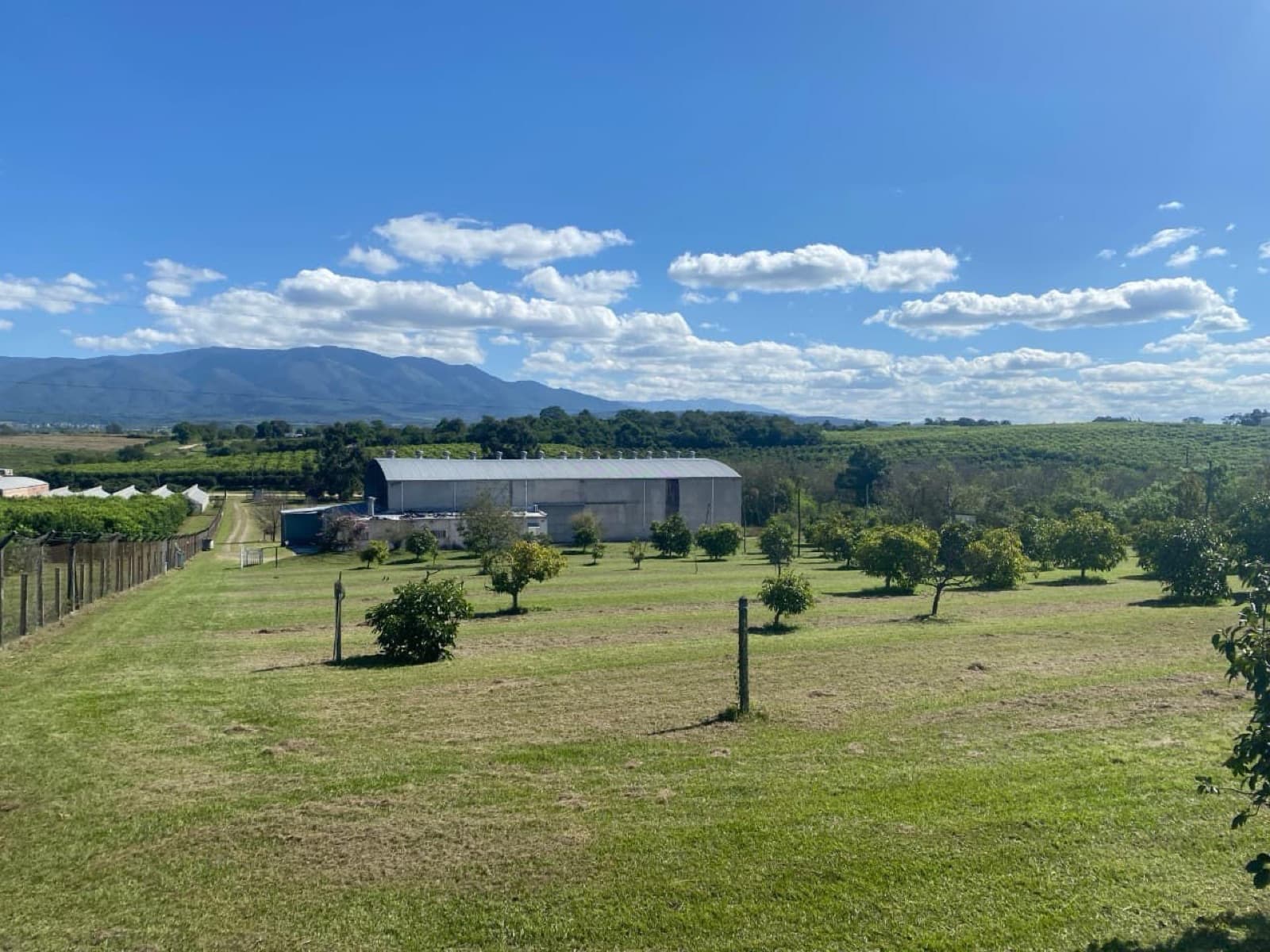 Terreno - Los Nogales - 1