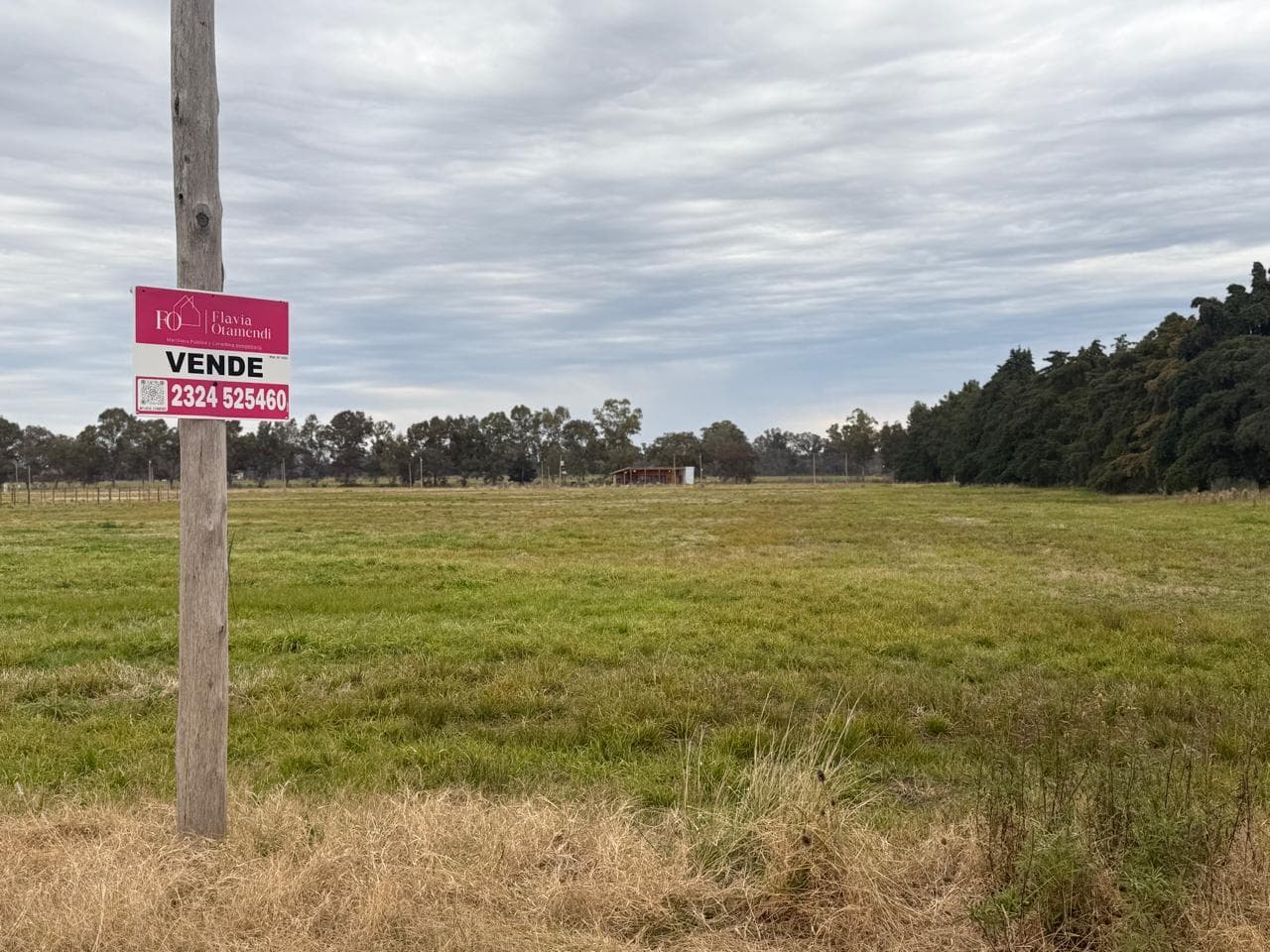 Venta de una hectárea en Chacras el Refugio Altamira - 1