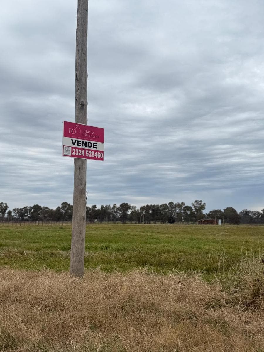 Venta de una hectárea en Chacras el Refugio Altamira - 2