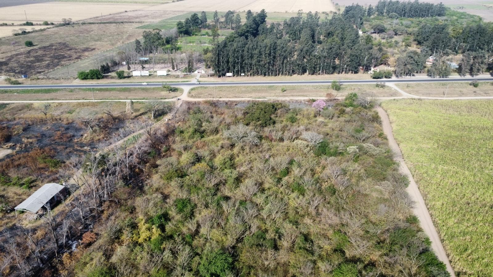 Terreno industrial en Ruta 9 km 1281, Tucumán - 1