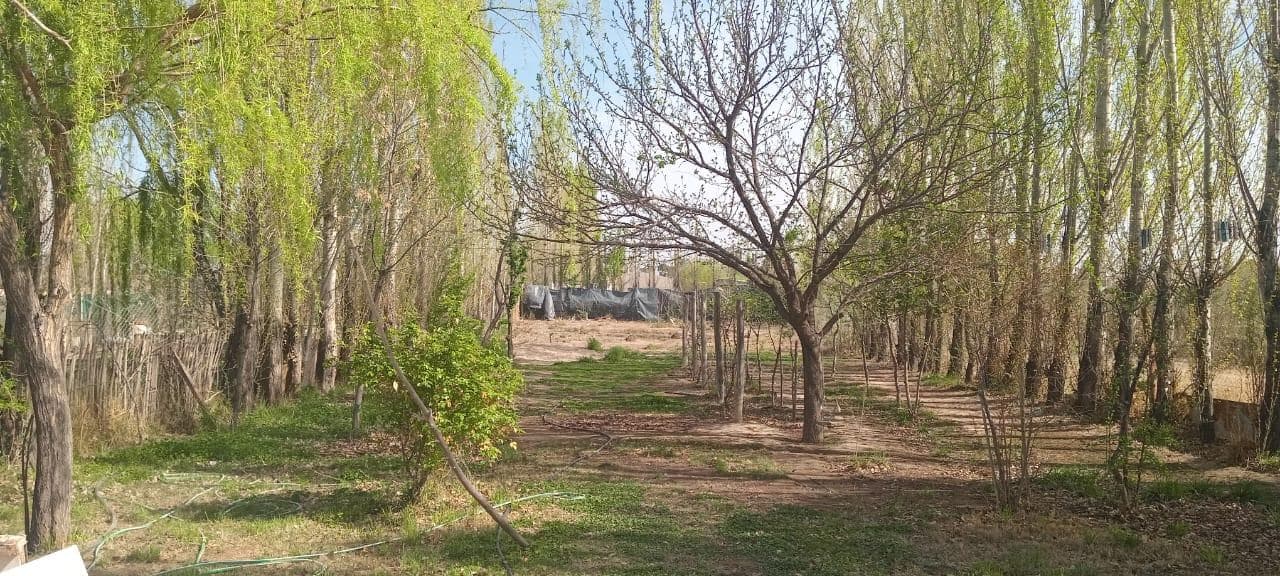 Casa en Cinco Saltos - 1