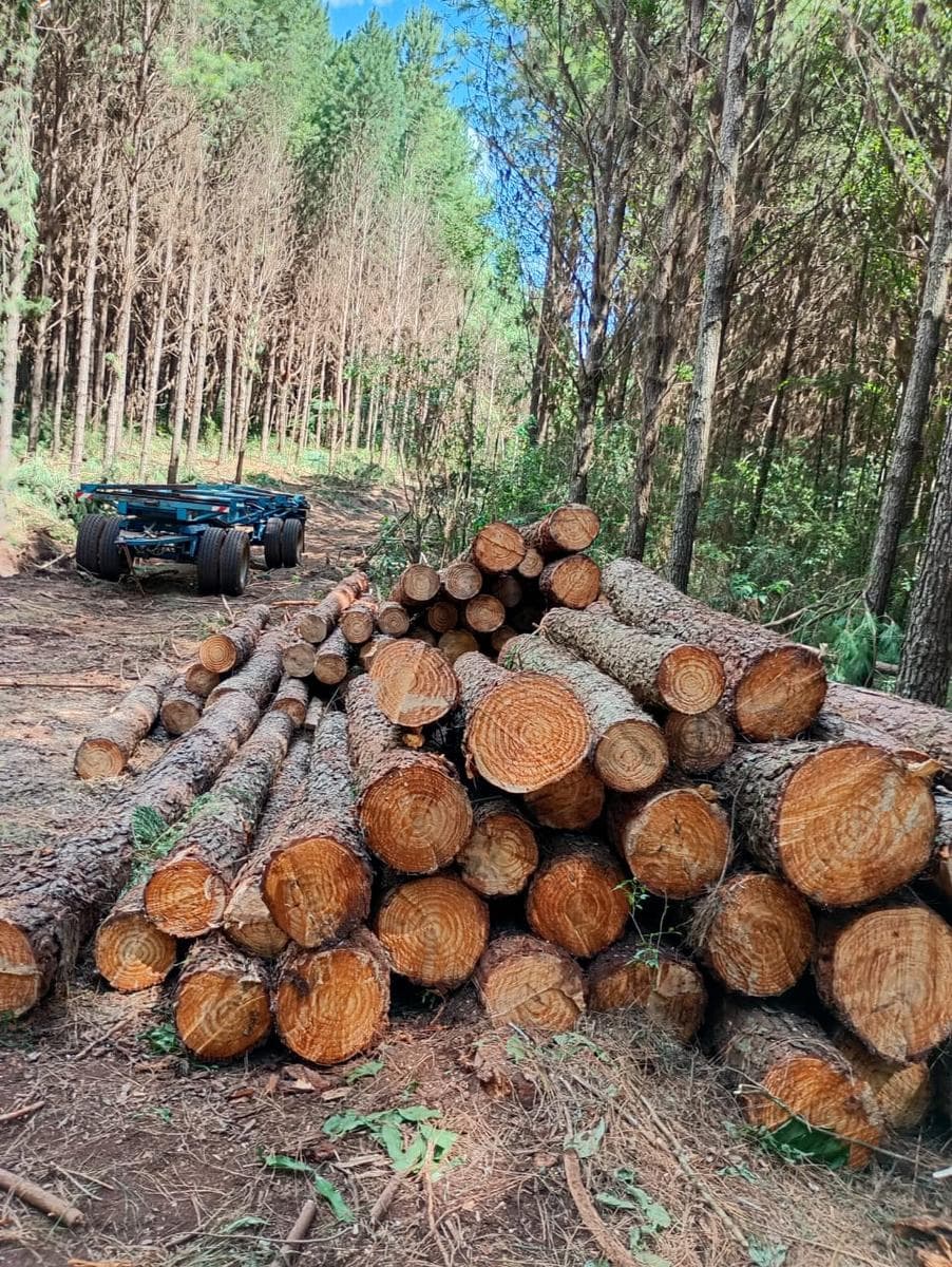 Venta Campo en EL DORADO/ Misiones - 1