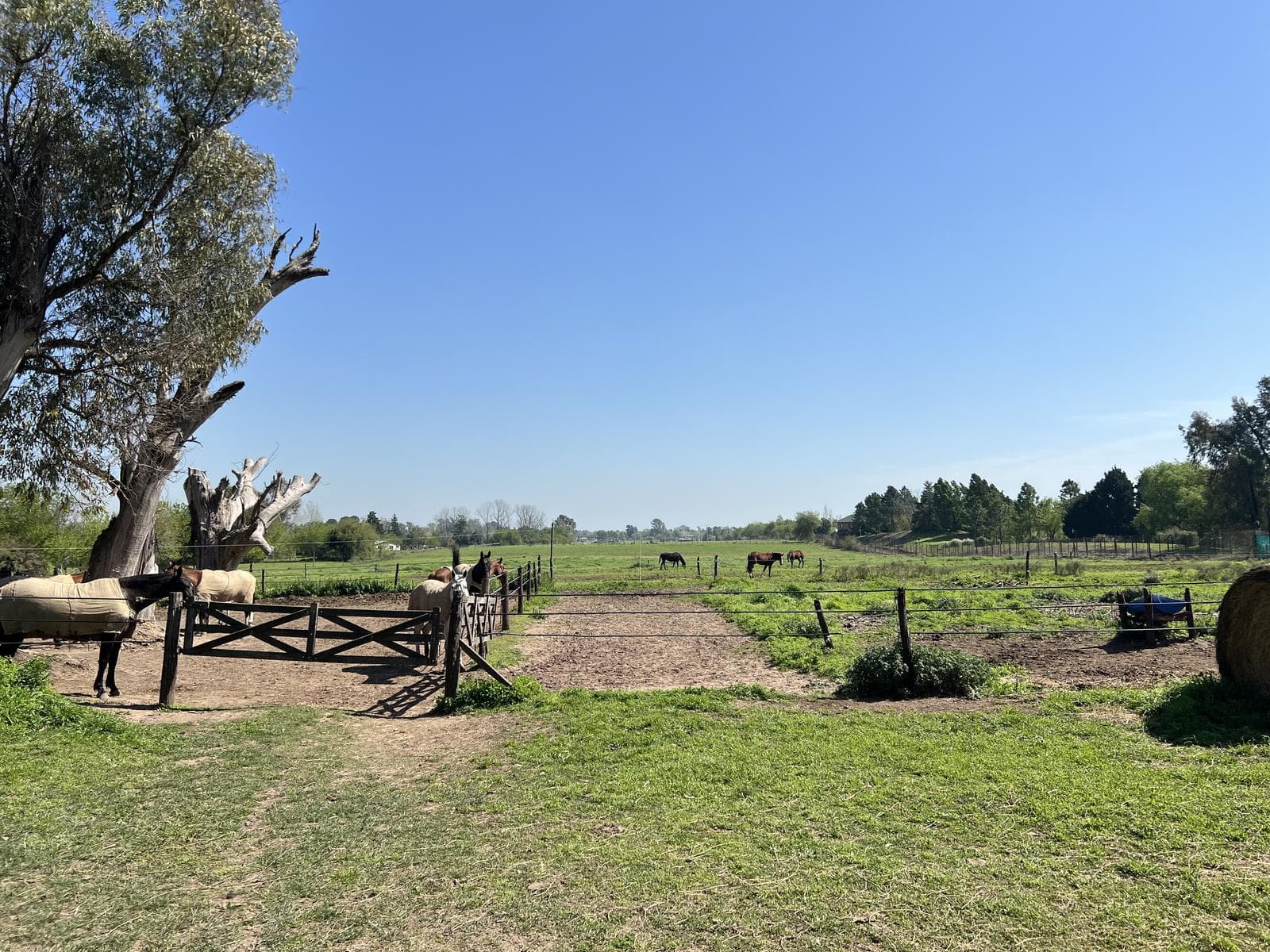 Chacra en Venta en Manzanres, Pilar, GBA Norte - 1