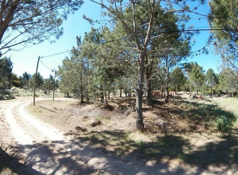 Terreno en venta - 695.5Mts2 - Miramar - 1