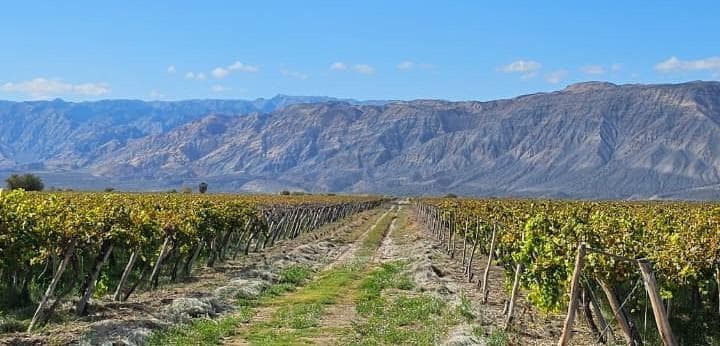 Finca La Germania - Distrito San Isidro - 1