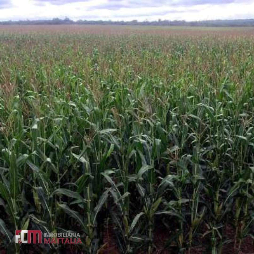 Terreno en Rosario De La Frontera - 1