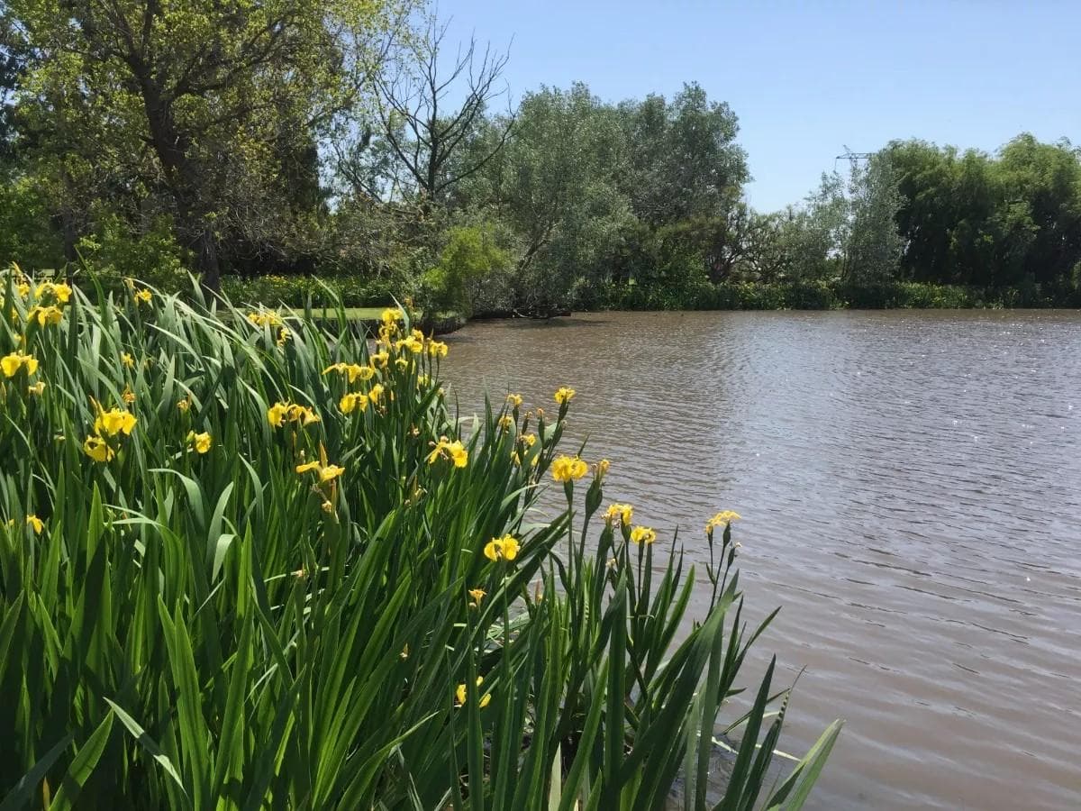 Terreno en Chacras de la Cruz Capilla Del Señor - 1