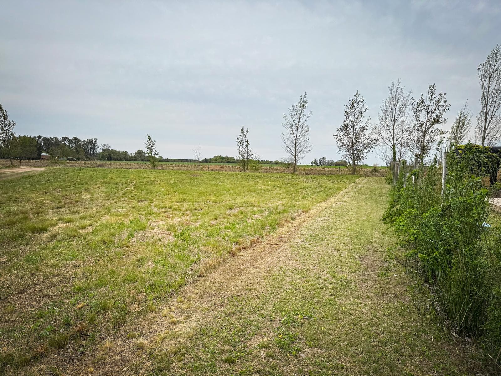 Terreno en Devoto - Speluzzi - 1