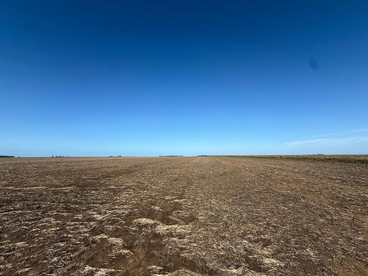 Campo en Gil 60 hectareas agricolas - 1